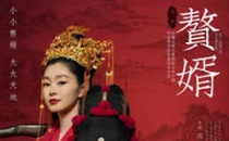 [2021]赘婿 全36集电视剧下载[1080][4K]超清网盘资源免费观看